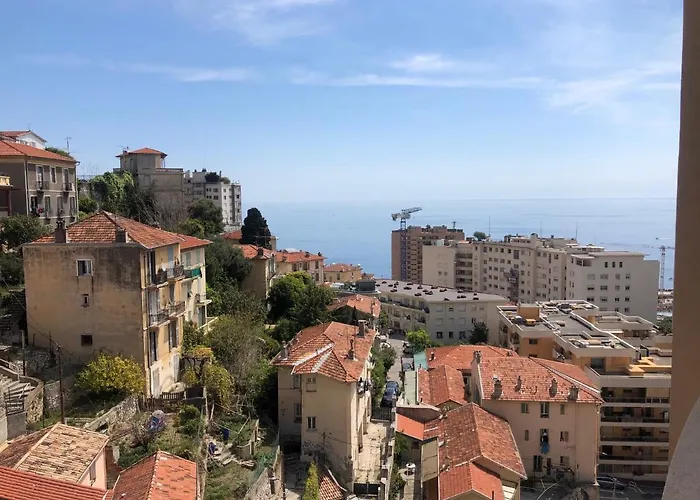 Citronnier Monaco Sea View *